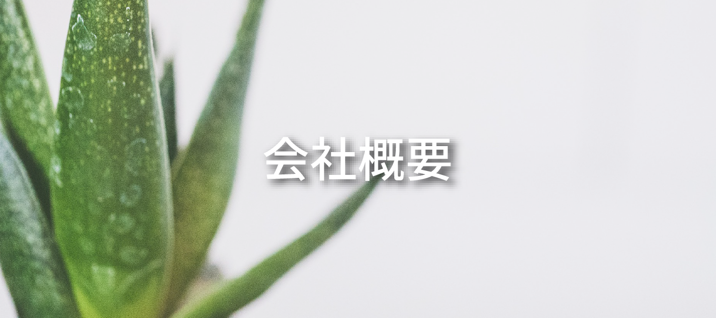 会社概要